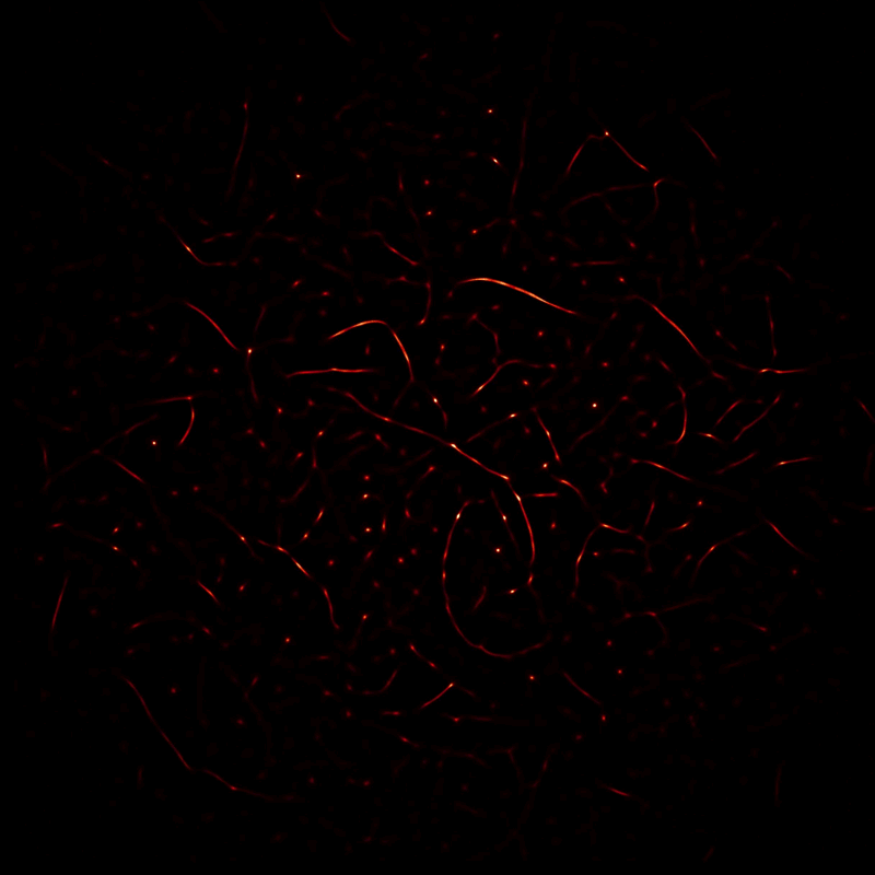 图片1.gif