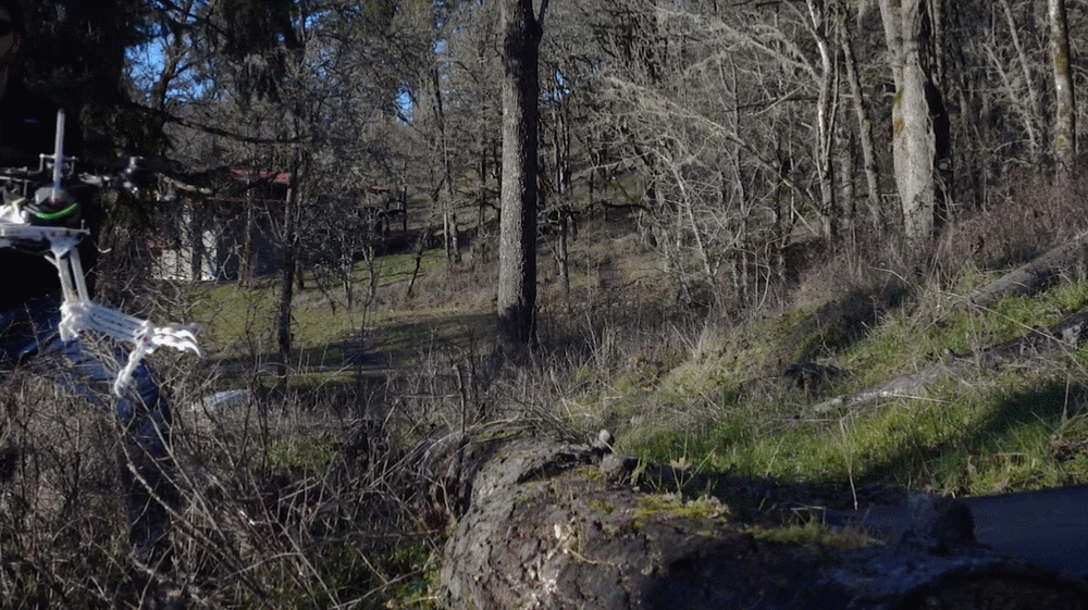 6.gif