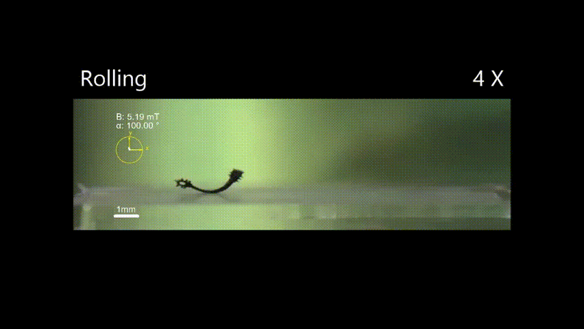 10.gif